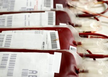 Festa de Natal do dador não se realiza este ano