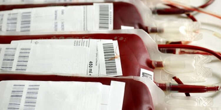 Festa de Natal do dador não se realiza este ano