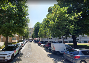 Poda de árvores na Praça Madalena Fonseca