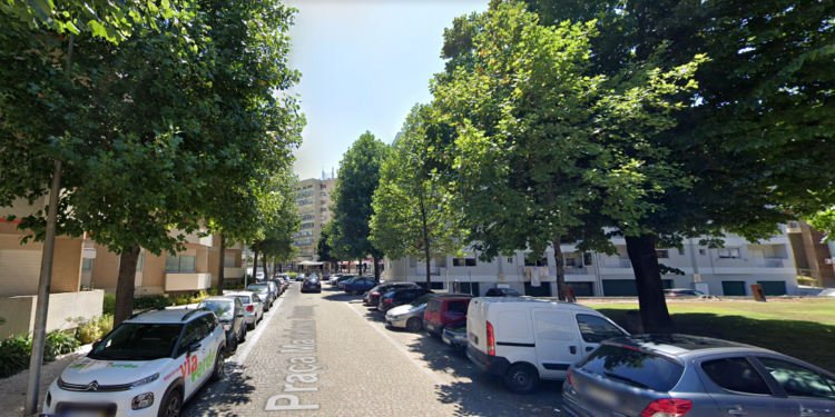 Poda de árvores na Praça Madalena Fonseca