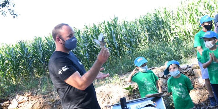 Projeto de educação e participação nas Pateiras do Ave aprovado ao Fundo Ambiental