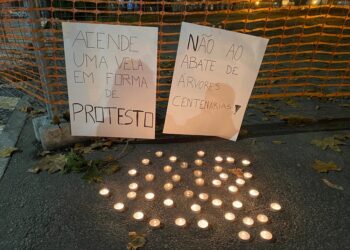 Jovens revoltados contra o abate de Árvores centenárias