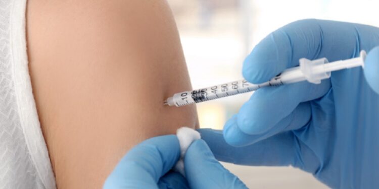 Portugal pode começar a vacinar em 2020