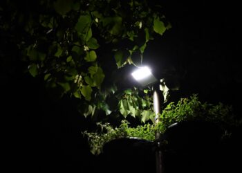 Famalicão aposta na eficiência energética e poupa 40 por cento na iluminação pública