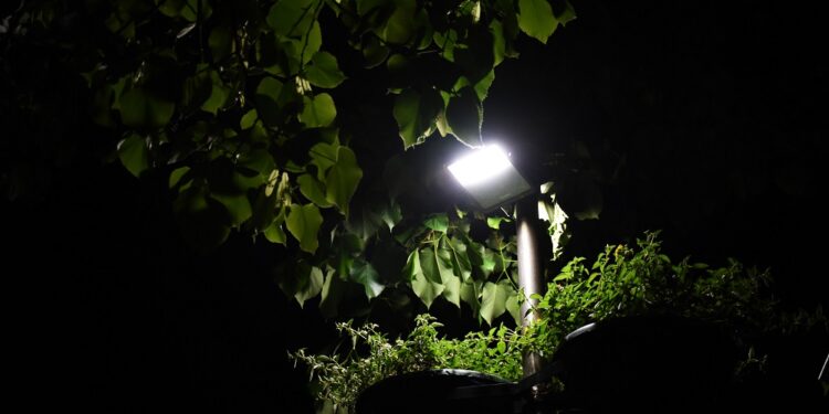 Famalicão aposta na eficiência energética e poupa 40 por cento na iluminação pública