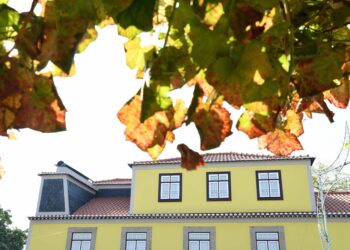 Rota Camilo assume-se cada vez mais como um produto de interesse turístico-cultural