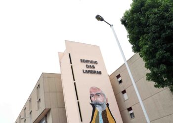 “Programar em Rede” com candidaturas abertas