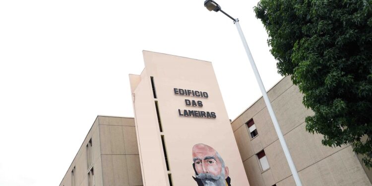 “Programar em Rede” com candidaturas abertas