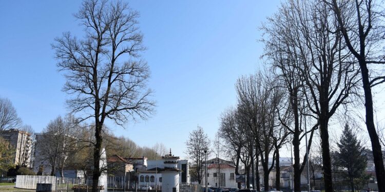 Construção da Rede Pedonal e Ciclável no centro de Famalicão arranca segunda-feira