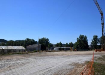 Famalicão vai ter um centro de proteção para animais