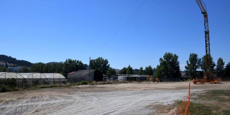 Famalicão vai ter um centro de proteção para animais