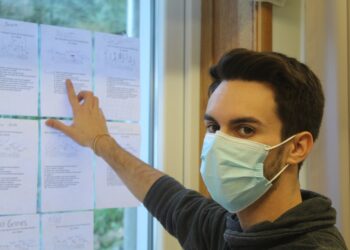 Mais de 240 jovens participaram no programa Ser Europa em 2020