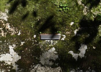 Câmara Municipal apresenta nova edição do Boletim Cultural de Famalicão