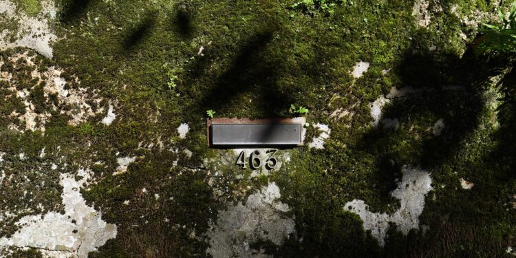 Câmara Municipal apresenta nova edição do Boletim Cultural de Famalicão