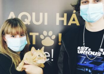 Centro de Recolha Animal de Famalicão promoveu a adoção de 565 animais em 2020