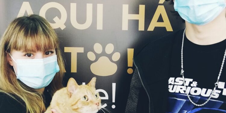 Centro de Recolha Animal de Famalicão promoveu a adoção de 565 animais em 2020