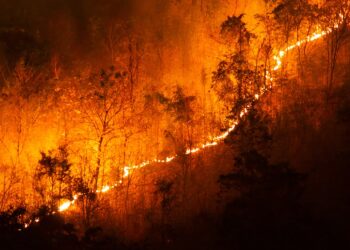 PROTEÇÃO CIVIL ALERTA PARA O RISCO DE INCÊNDIO
