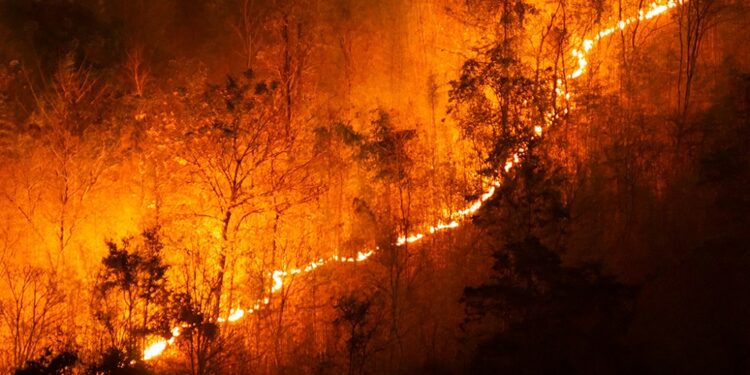 PROTEÇÃO CIVIL ALERTA PARA O RISCO DE INCÊNDIO