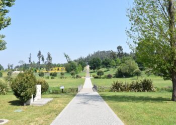 Parque da Devesa vai ganhar mais de 700 novas árvores e arbustos