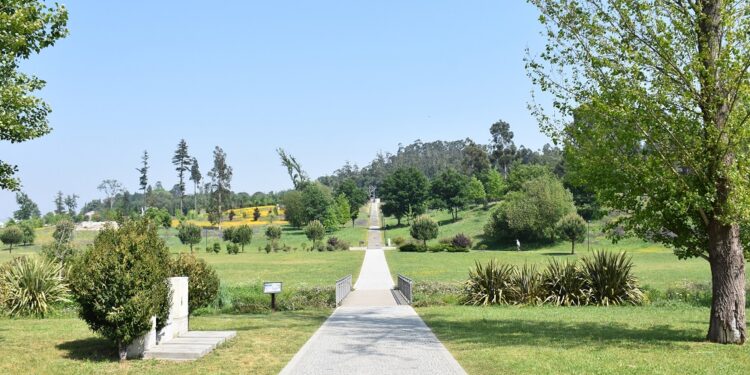 Parque da Devesa vai ganhar mais de 700 novas árvores e arbustos