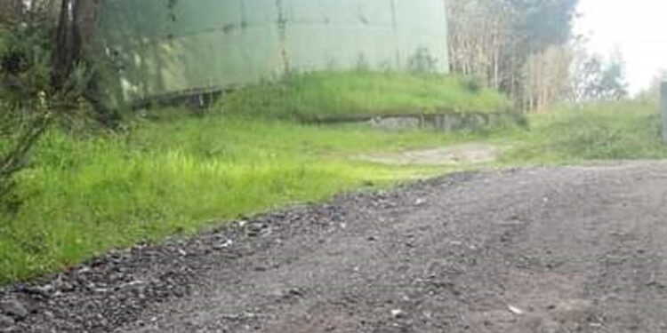 A Valorização da Natureza em Vale S. Martinho