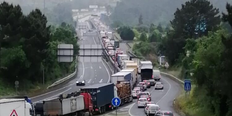 Eurodeputados escrevem a António Costa e Pedro Sánchez a alertar para caos nas fronteiras