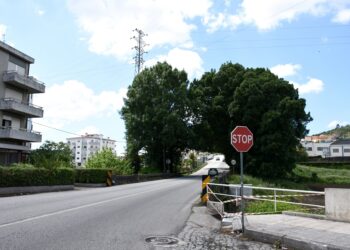 Construção de ponte pedonal reforça segurança dos peões na Avenida D. Afonso Henriques