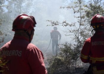 Câmara de Famalicão concede apoios para fixar jovens e premiar bombeiros voluntários
