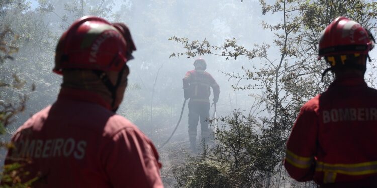 Câmara de Famalicão concede apoios para fixar jovens e premiar bombeiros voluntários