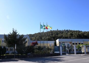 Famalicão conclui processo de remoção de fibrocimento nas escolas do concelho