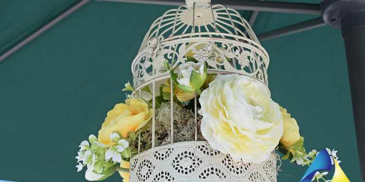 Galeria de fotos – Requalificação do Adro – Gavião