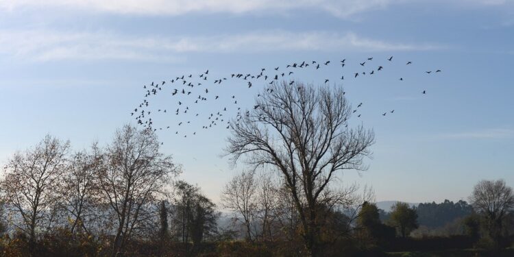 Pateiras de Fradelos não avançam para Paisagem Protegida
