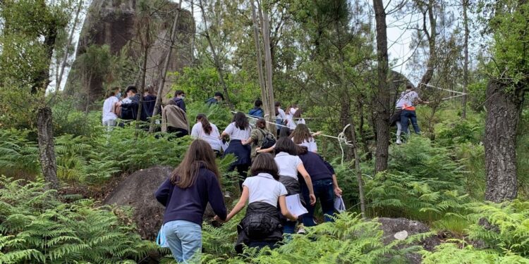 Didáxis – Projeto “Literacia para a Preservação das Florestas”