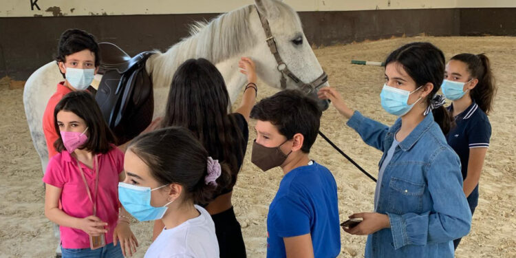 Didáxis – Visita ao Centro Hípico de Joane