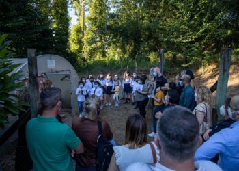 Didaxis –  Projeto “Hortas Bio na Escola”