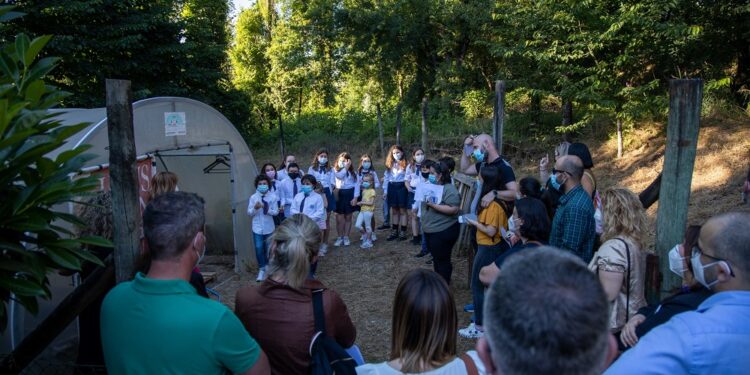 Didaxis –  Projeto “Hortas Bio na Escola”