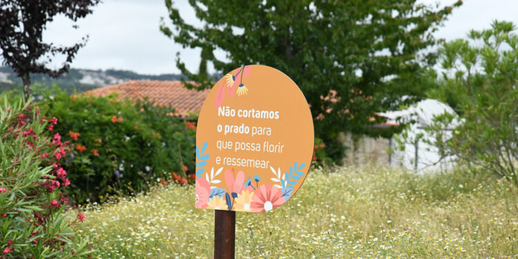 No Parque da Devesa deixa-se a vegetação crescer