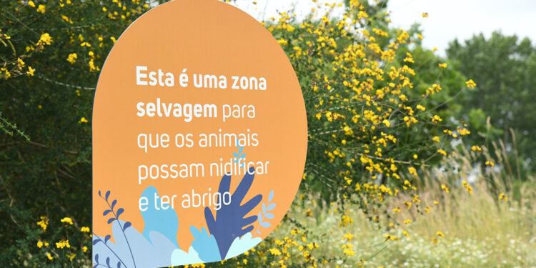 No Parque da Devesa deixa-se a vegetação crescer