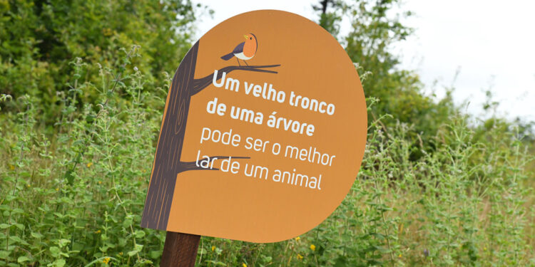 No Parque da Devesa deixa-se a vegetação crescer