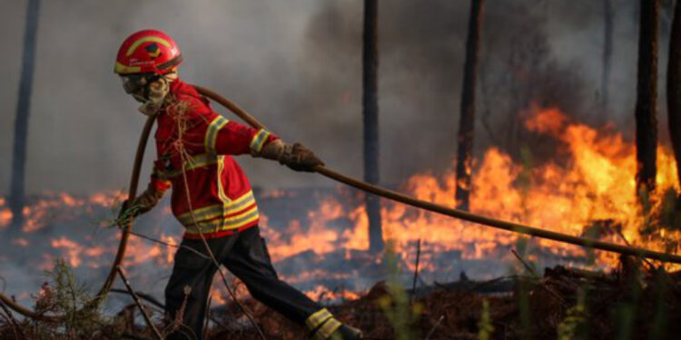 Primeiro Relatório de 2021 sobre incêndios