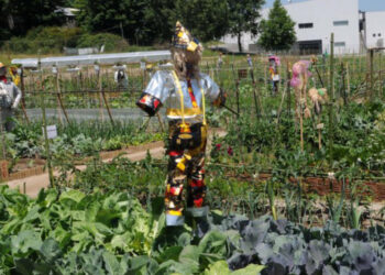 Hortas da Devesa geram mal estar político em Famalicão