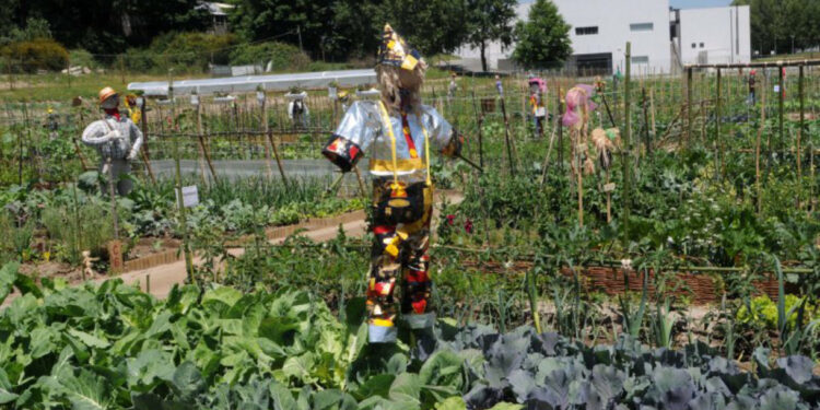 Hortas da Devesa geram mal estar político em Famalicão