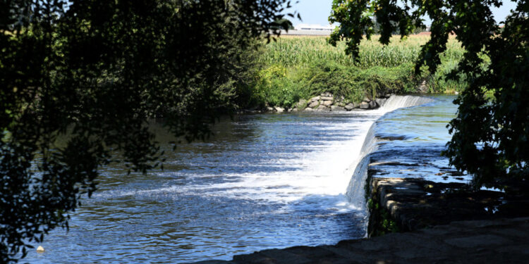 Famalicão e Trofa unem-se para recuperar e valorizar margens do Ave