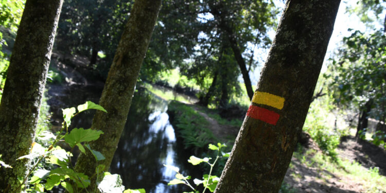 Trilhos de Famalicão já estão sinalizados