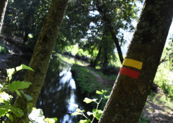 Trilhos de Famalicão já estão sinalizados