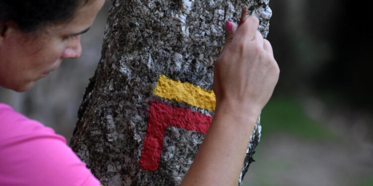 Trilhos de Famalicão já estão sinalizados