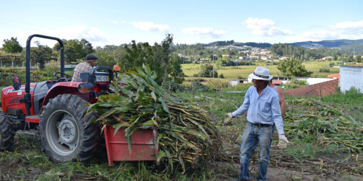 Comunidades com história revivem tradições