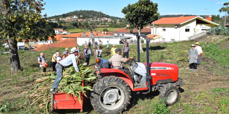 Comunidades com história revivem tradições