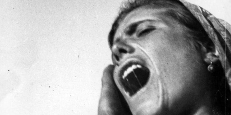 Sensible Soccers e Filipe Raposo em filmes-concerto na Casa das Artes