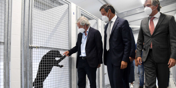 Nova casa para os melhores amigos já está a funcionar em Famalicão